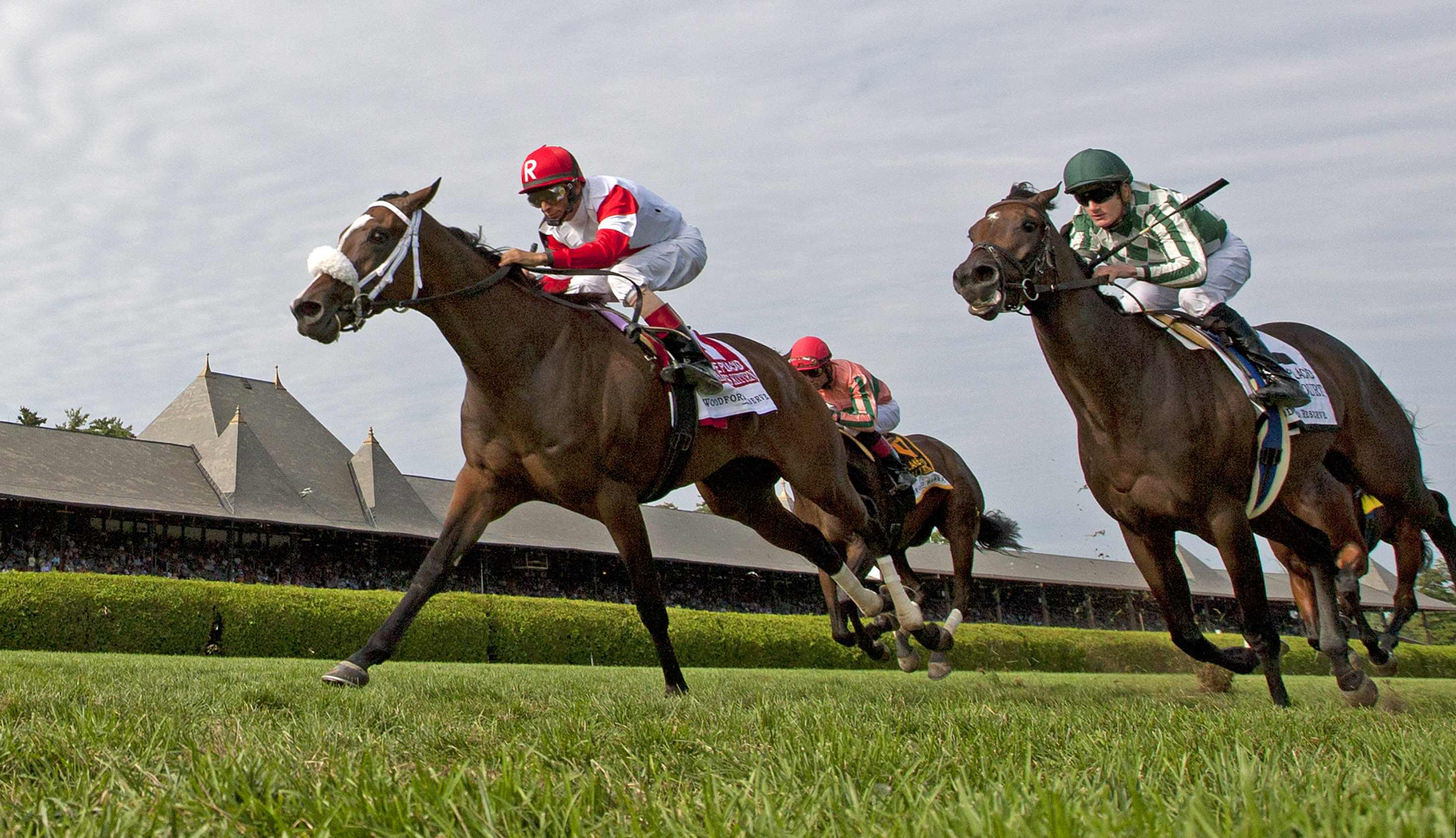 Stephanie's Kitten/Woodford
