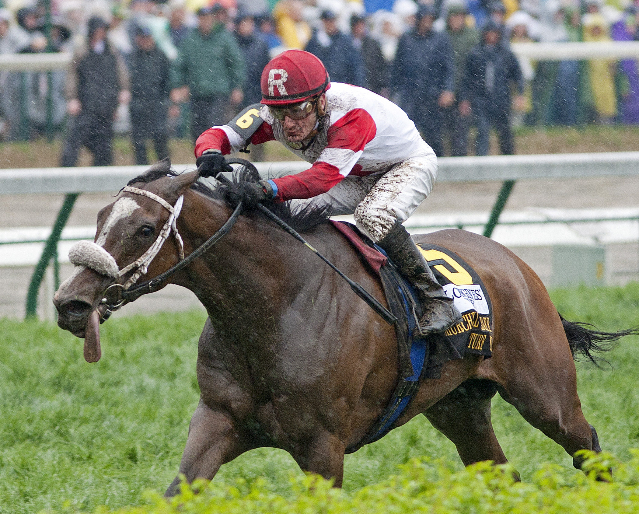 Stephanie's Kitten, Churchill Distaff Turf Mile