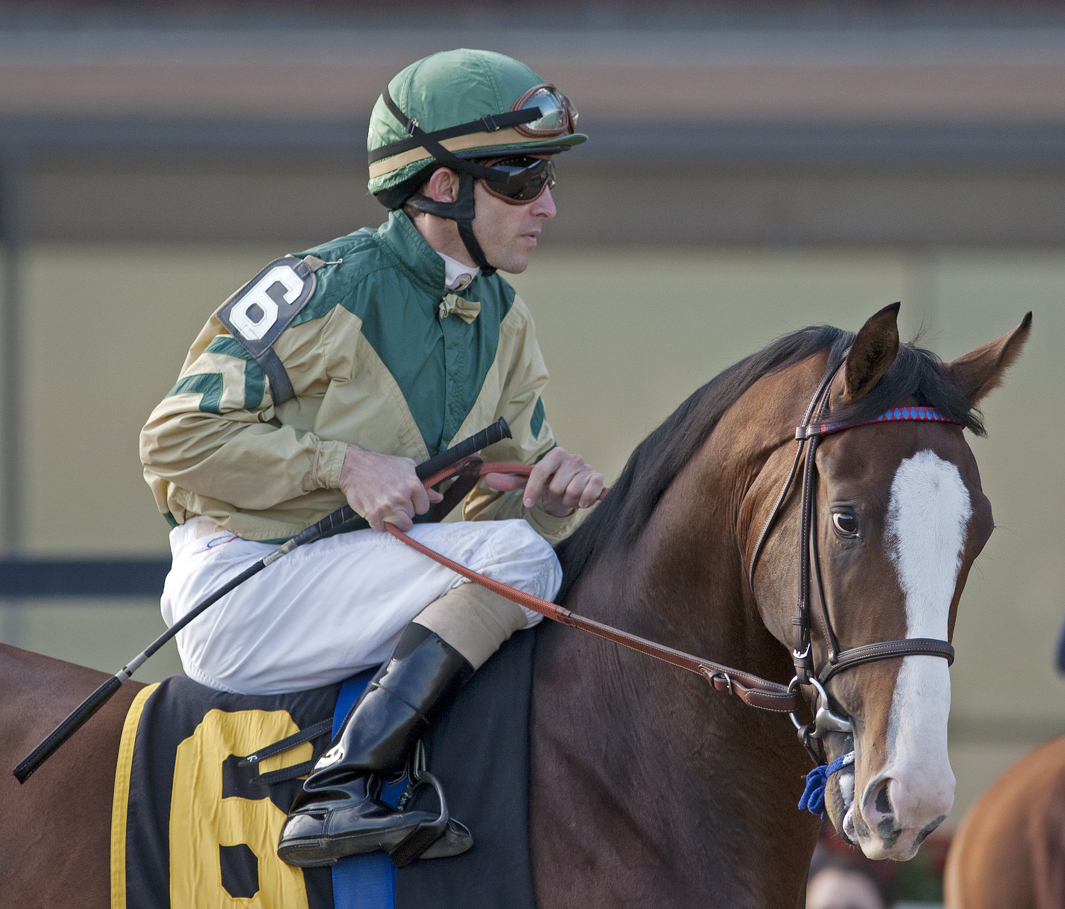 Stephanoatsee 11-2011
