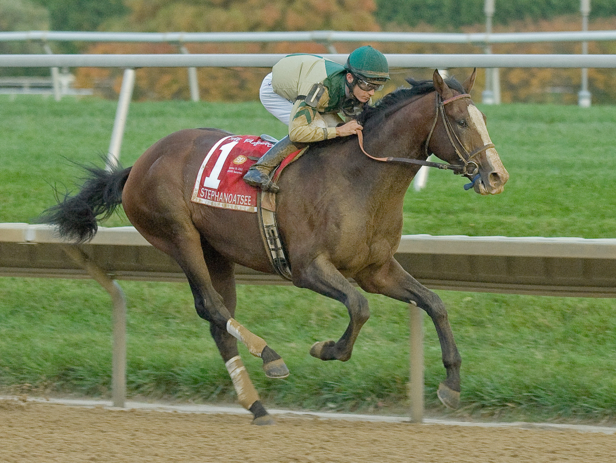 Stephanoatsee 10-20-2012