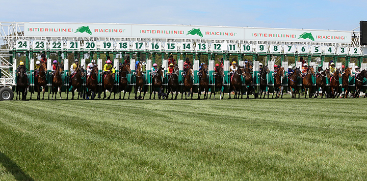 Sterline starting gate rendering for Churchill Downs