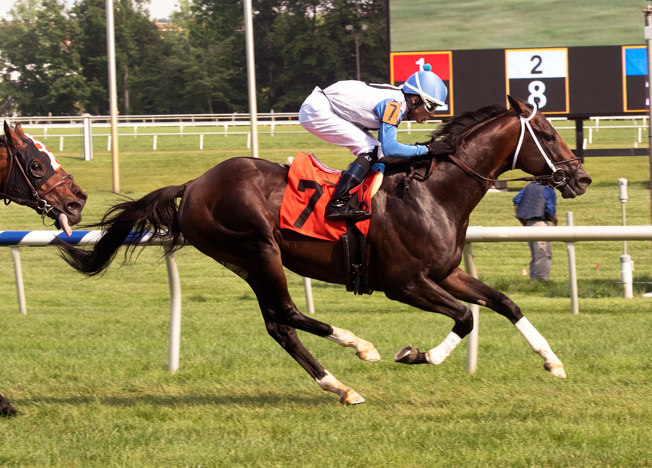 Sticksstatelydude wins the 2018 Edward Evans Stakes