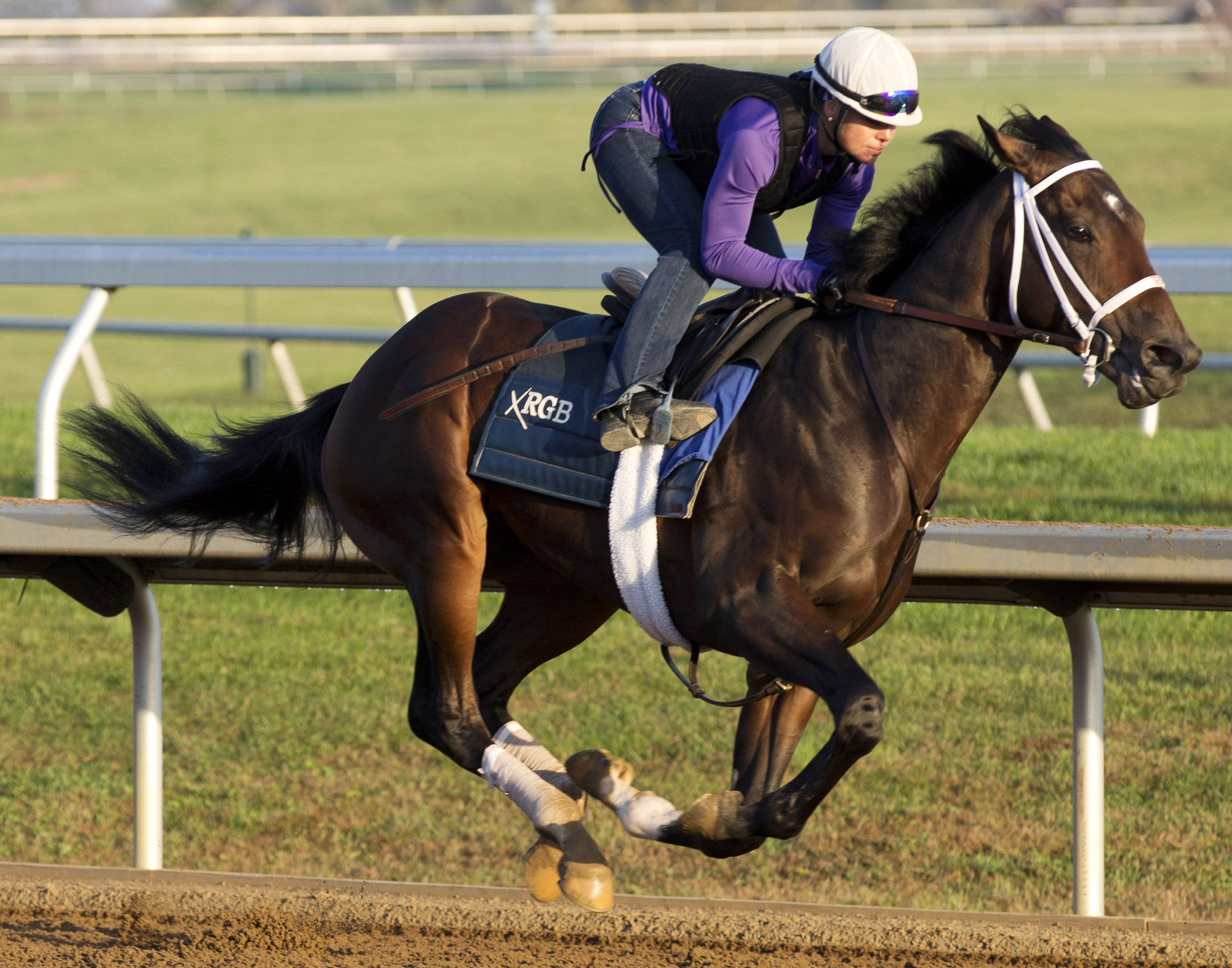Sticksstatelydue trains at Keeneland on Oct. 23