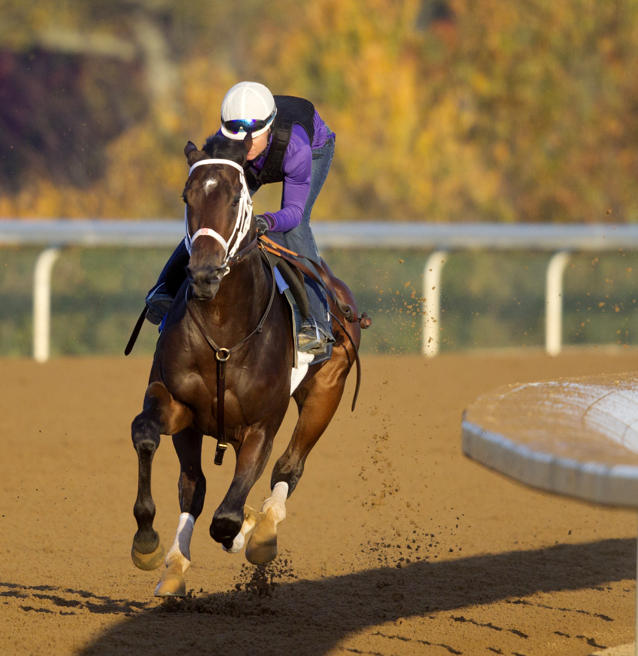 Sticksstatelydude at Keeneland on Oct. 23