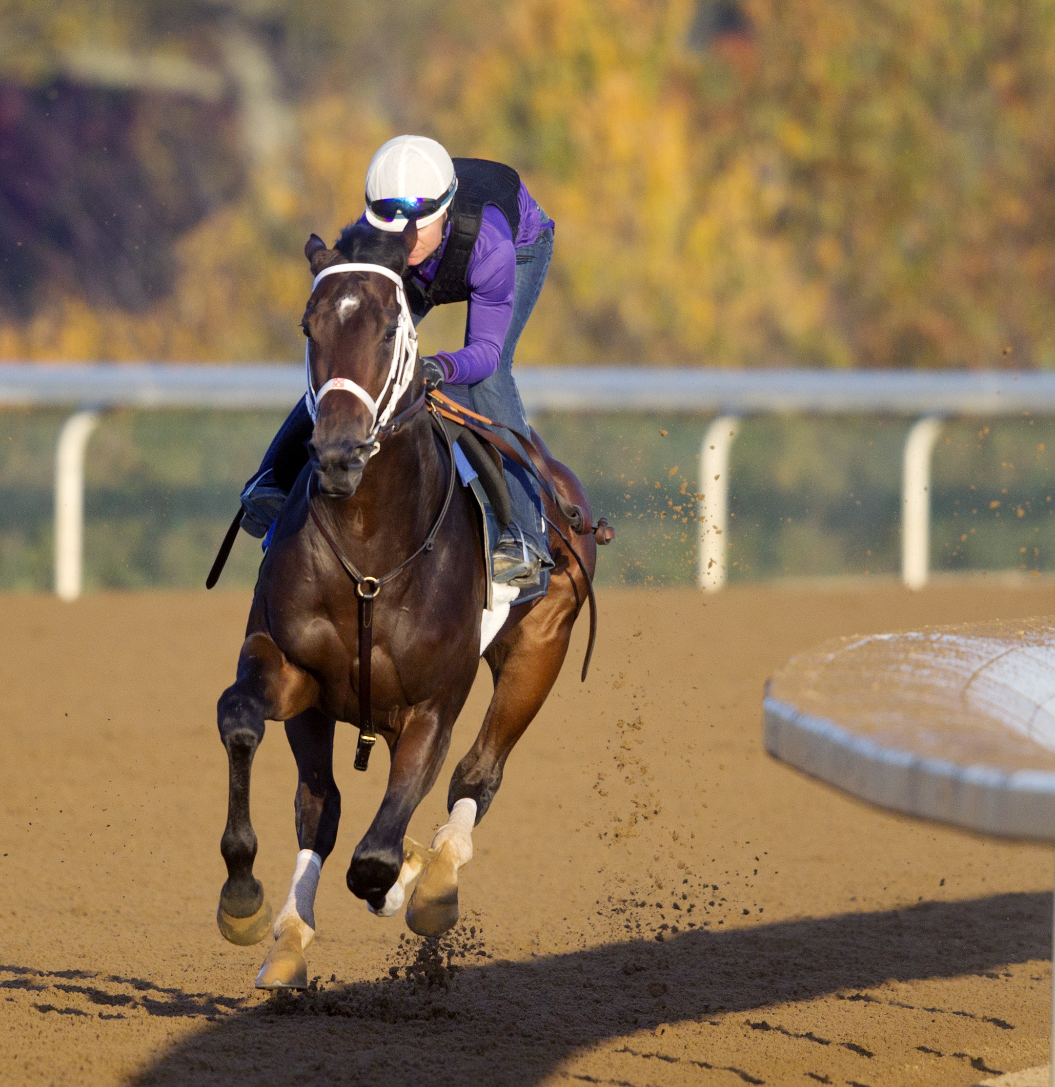 Sticksstatelydude trains at Keeneland in October 2015
