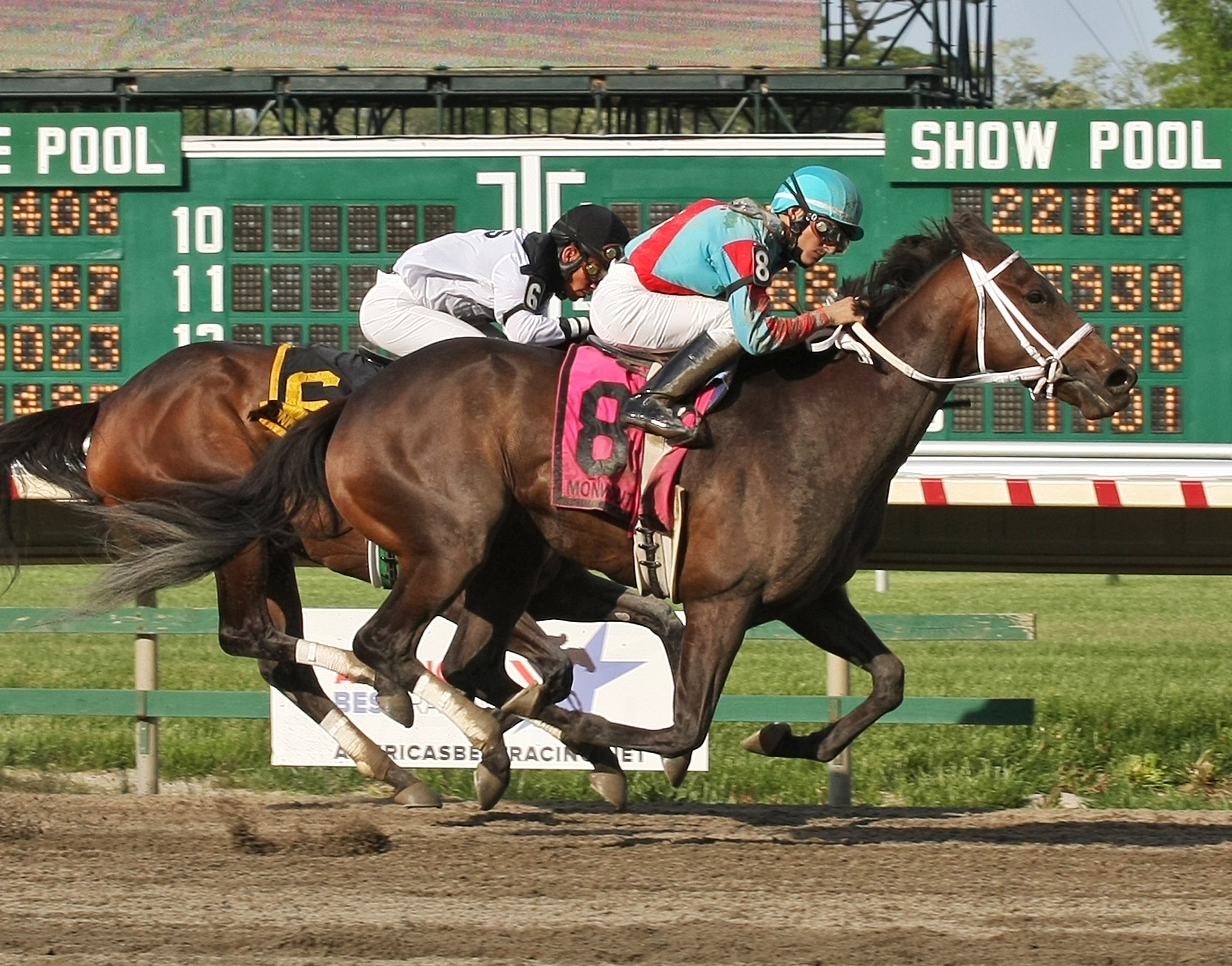 Stiffed beats Got Lucky in the Monmouth Beach Stakes