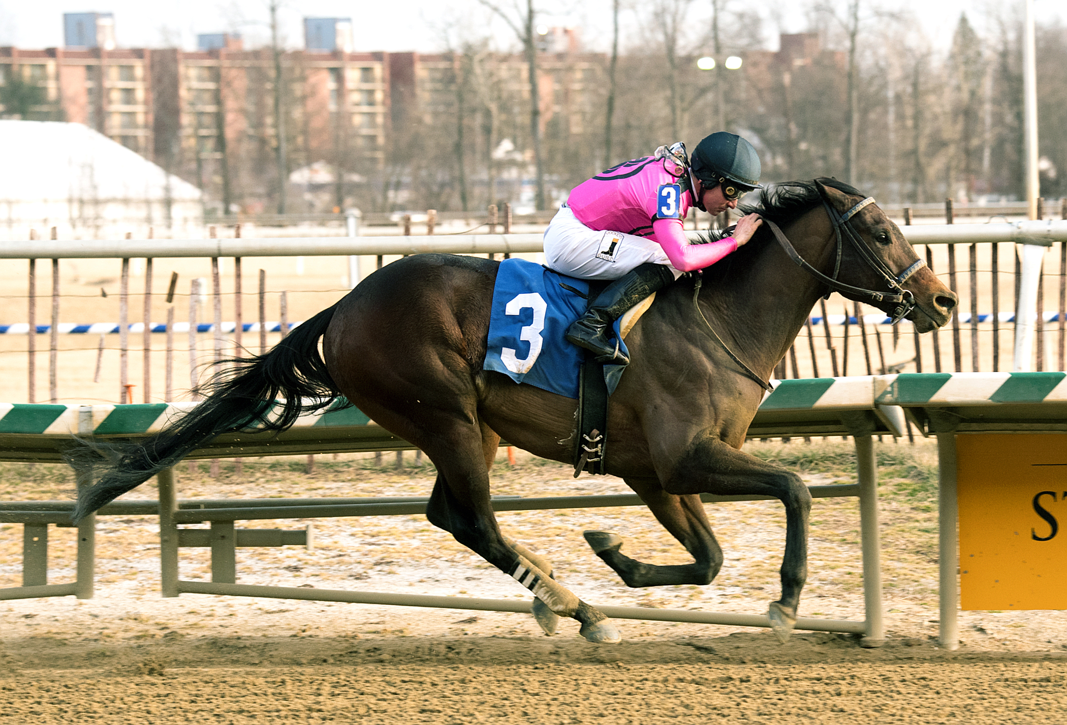 Still Having Fun wins the Frank Whiteley Jr. Stakes