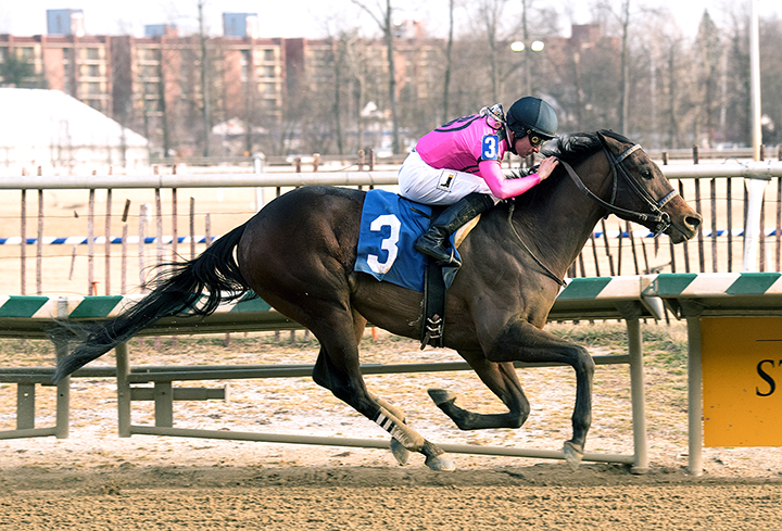 Still Having Fun wins the 2018 Frank Whiteley Jr. Stakes