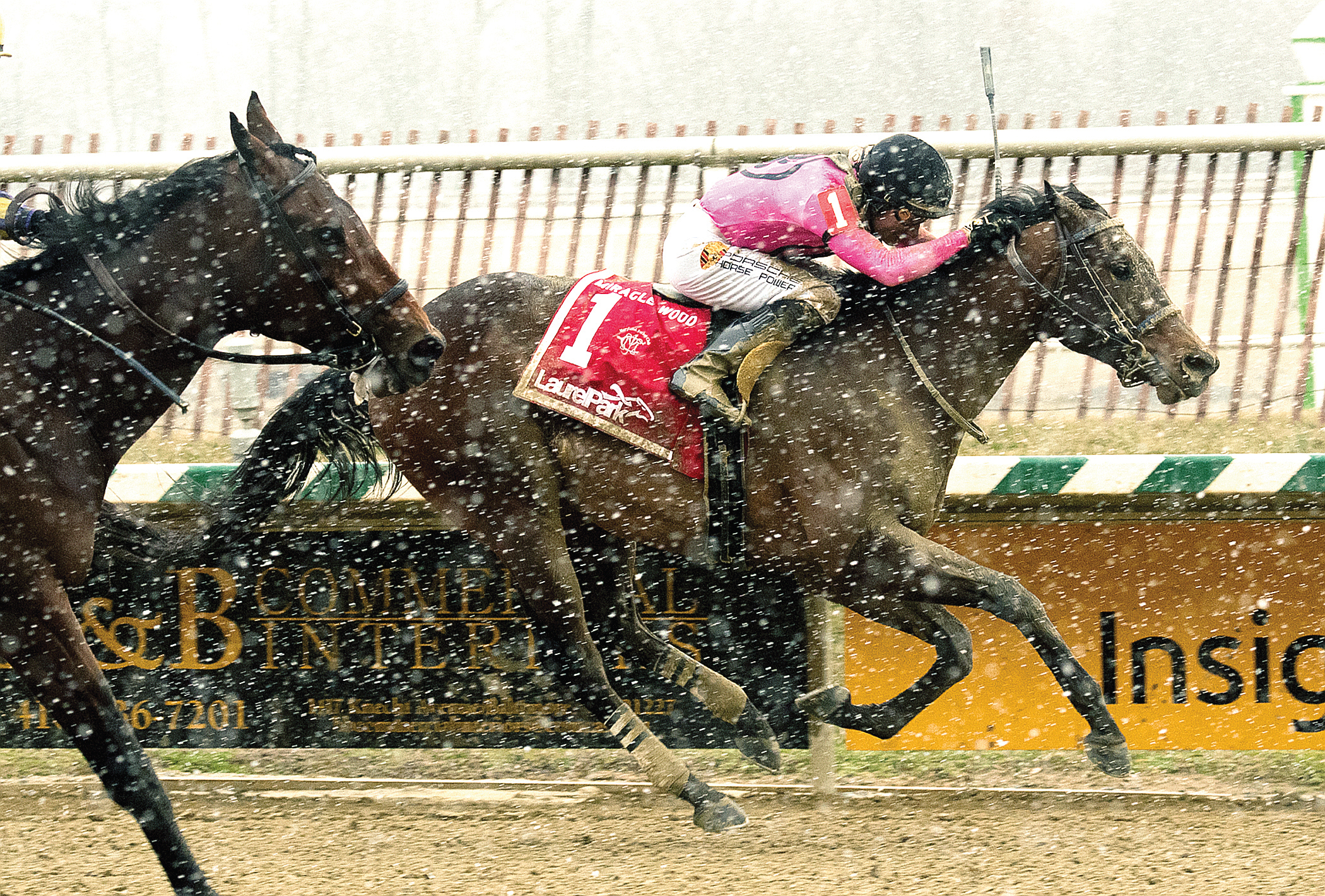 Still Having Fun wins the 2018 Miracle Wood