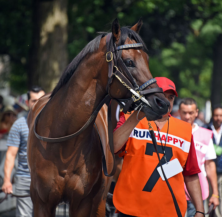 Still Having Fun at Saratoga Race Course in August 2018