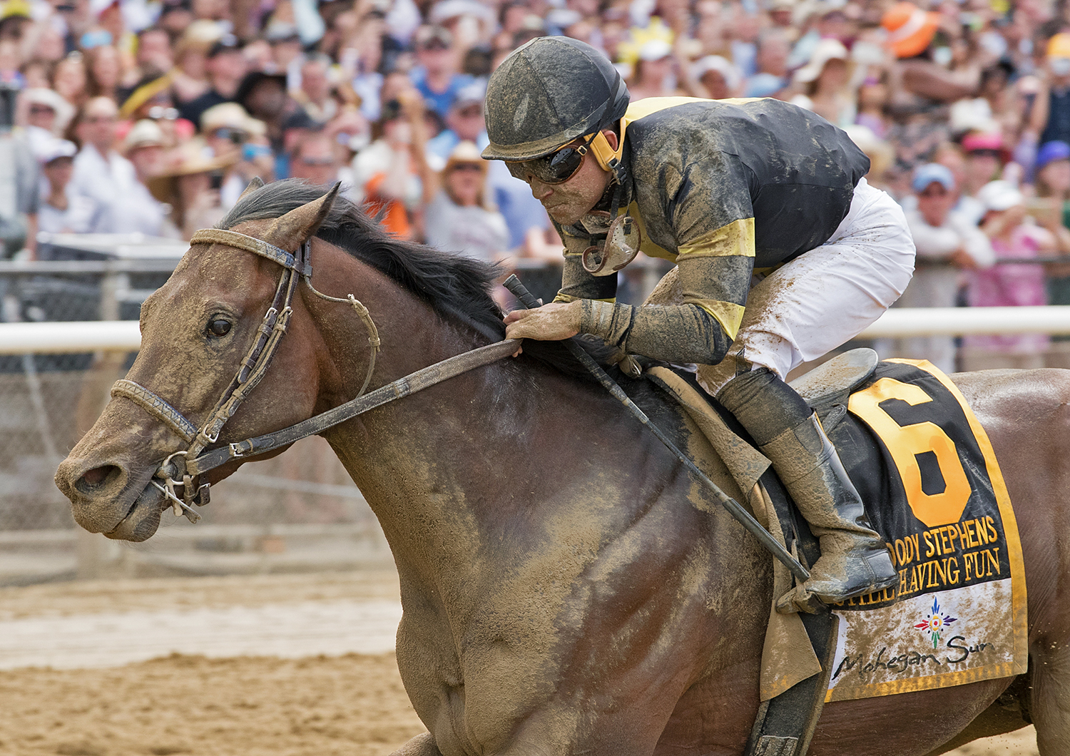 Still Having Fun wins the 2018 Woody Stephens