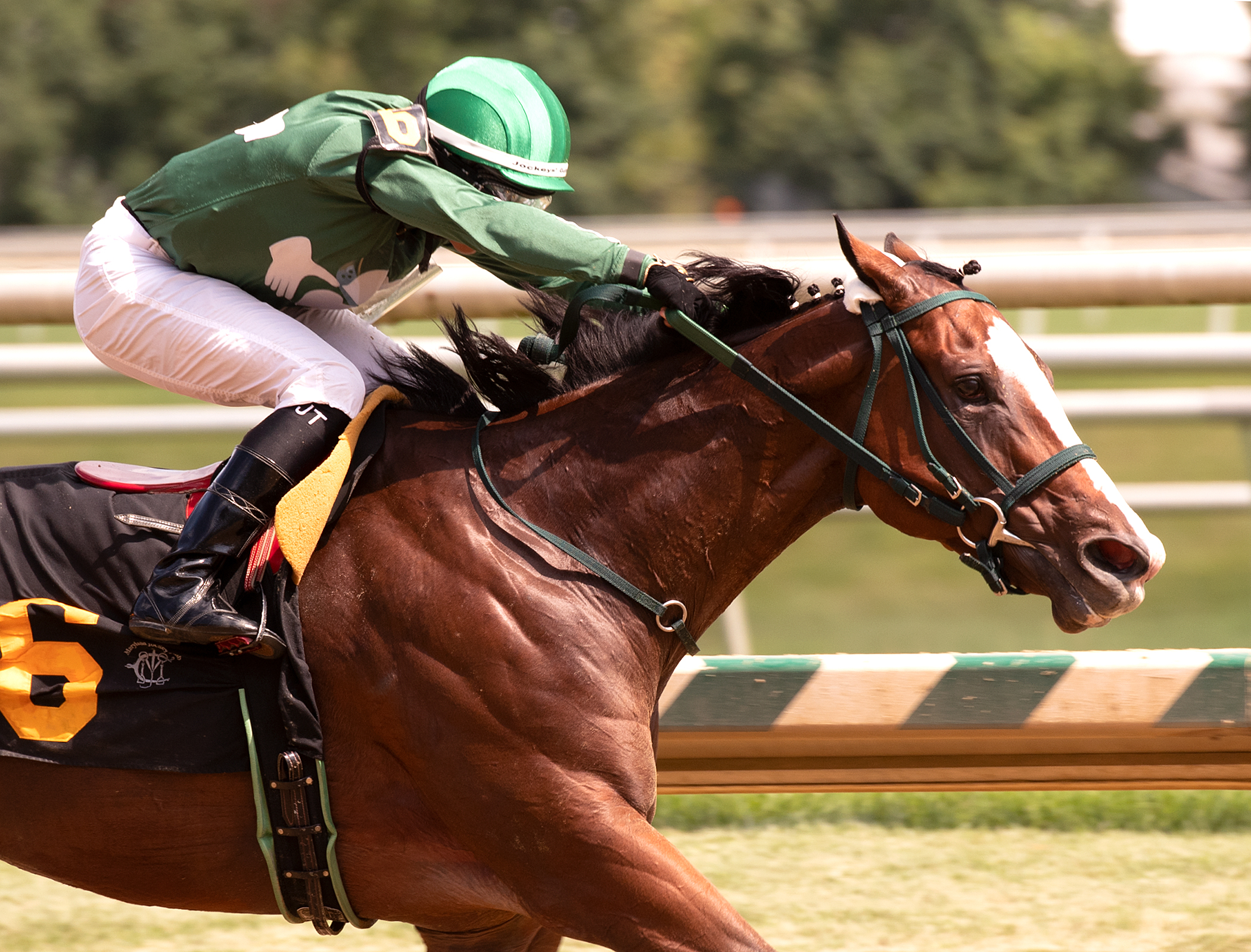 Still There wins 2018 Twixt Stakes