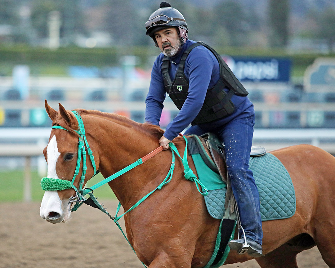 Stilleto Boy at Santa Anita Park on Jan. 15