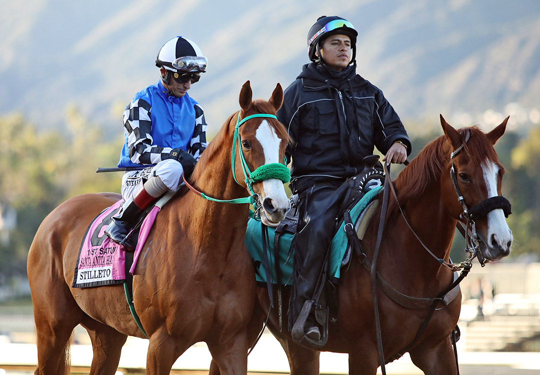 Stilleto Boy at the 2022 Santa Anita Handicap at Santa Anita Park