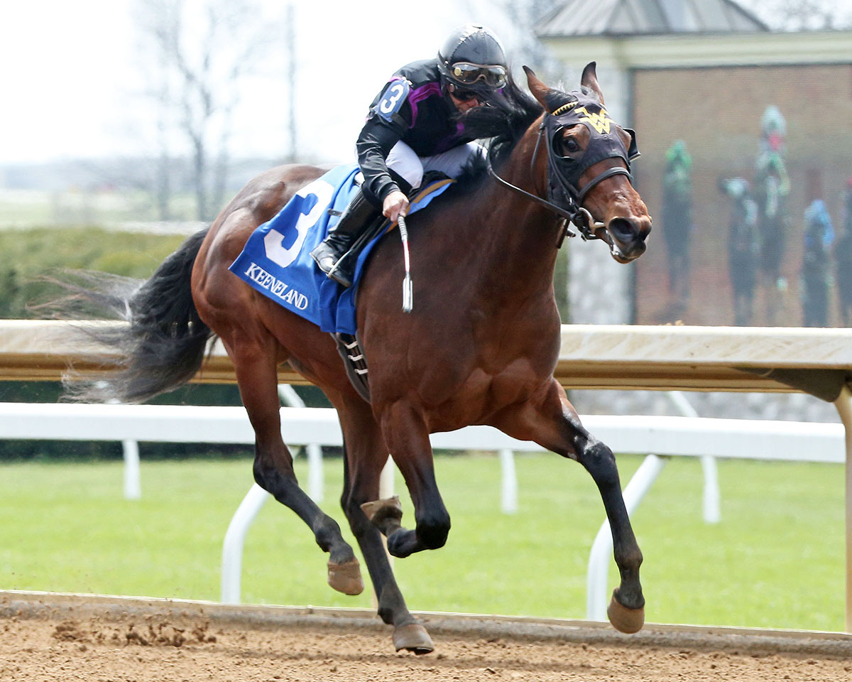 Stillwater Cove wins an April 8 maiden race