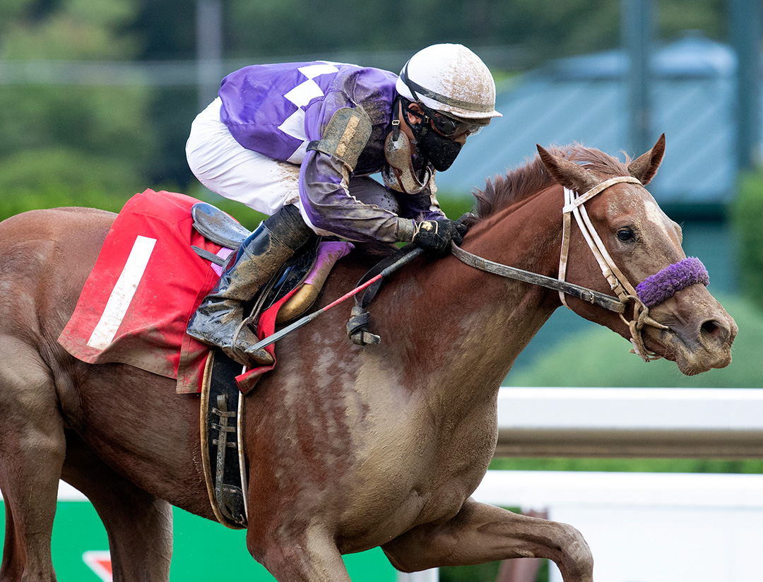 Stimulus Check wins an Aug. 19 maiden race at Saratoga