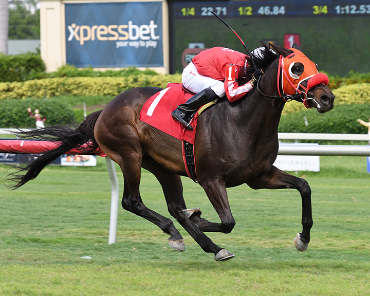Stirling Drive wins a Sept. 1 maiden race