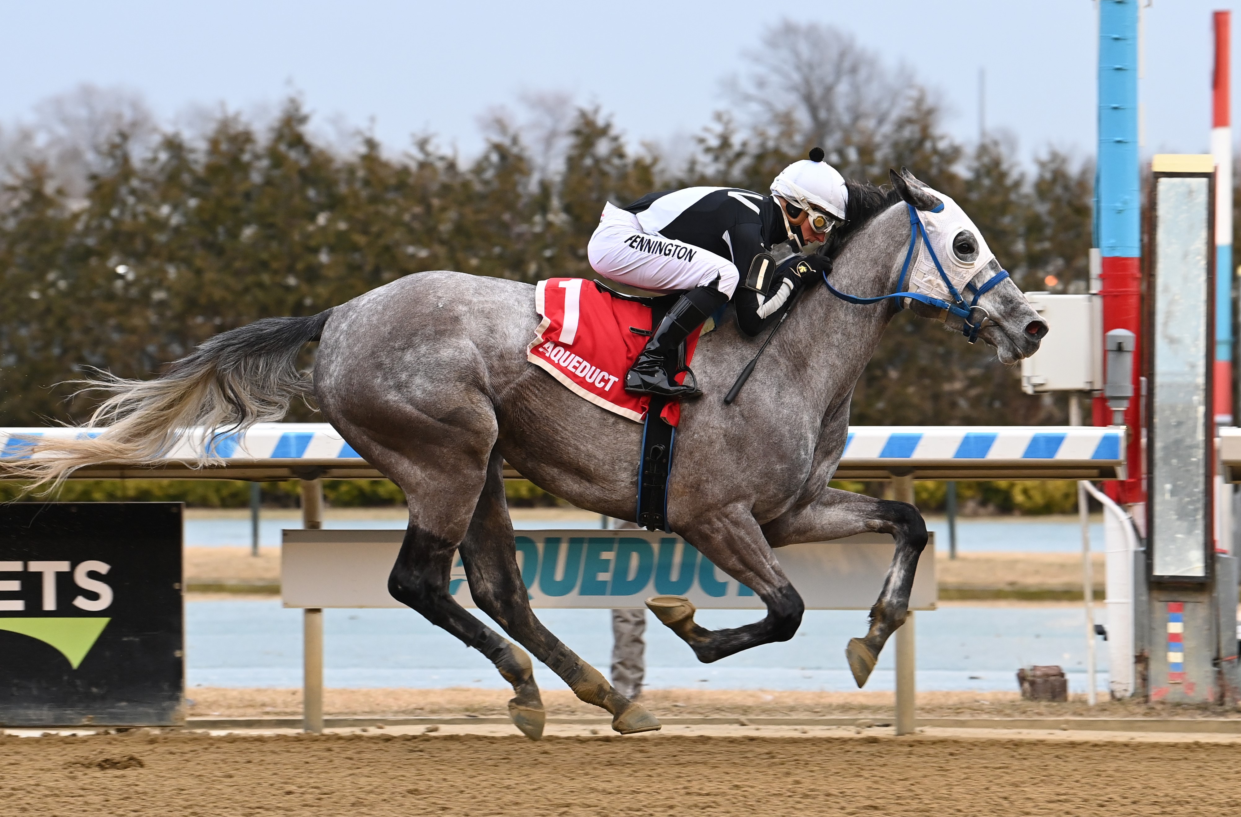 Stone Creator wins at AQU Feb 9 2023