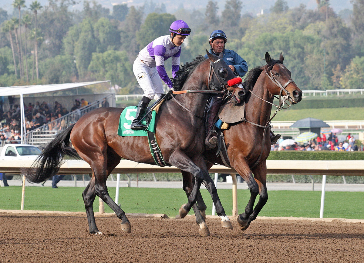 Stone Hands at Santa Anita in December 2017