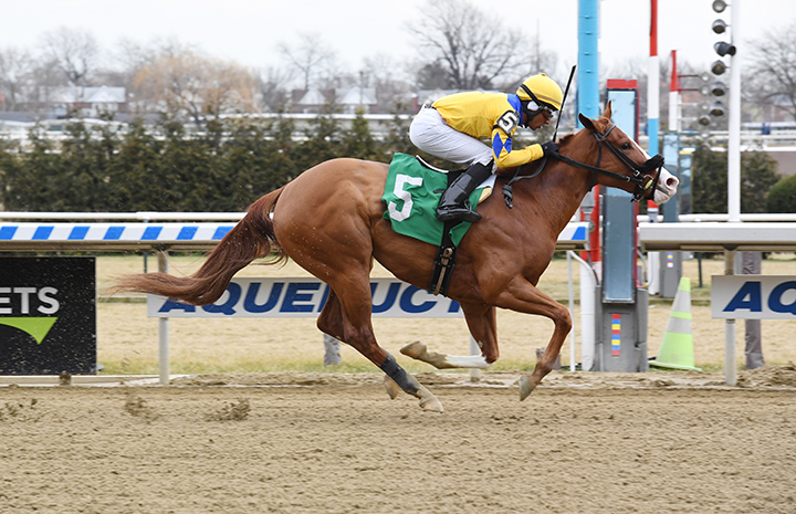 Stonesintheroad wins a Dec. 30 maiden race