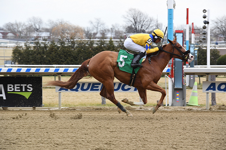 Stonesintheroad wins a Dec. 30 maiden race