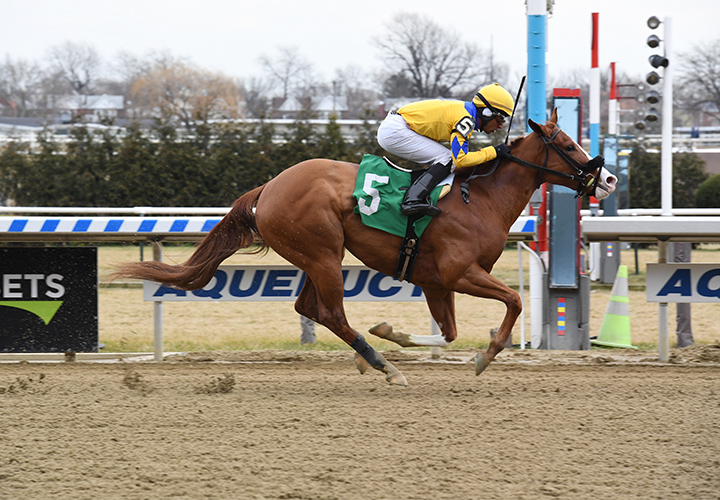 Stonesintheroad wins a Dec. 30 maiden race