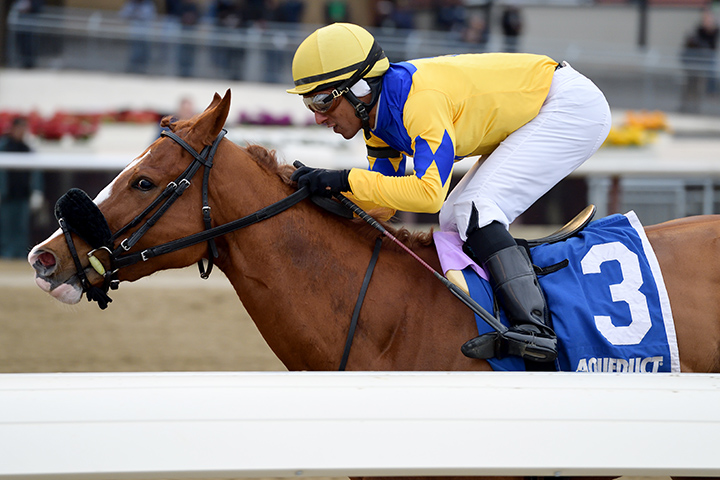 Stonesintheroad wins the 2019 Franklin Square