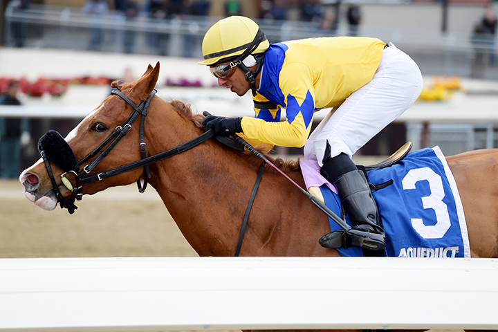 Stonesintheroad wins the 2019 Franklin Square