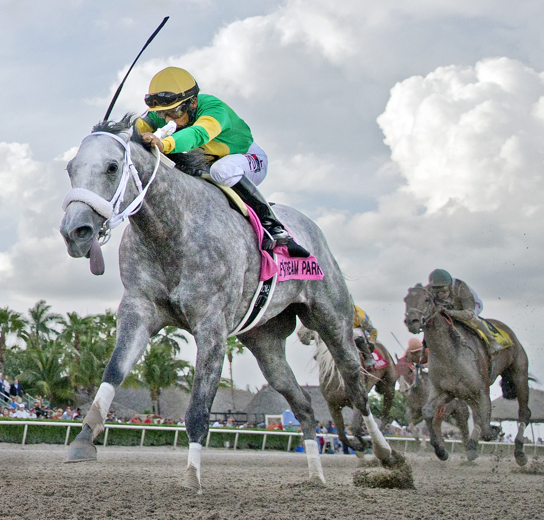 Stonetastic wins the Inside Information Stakes