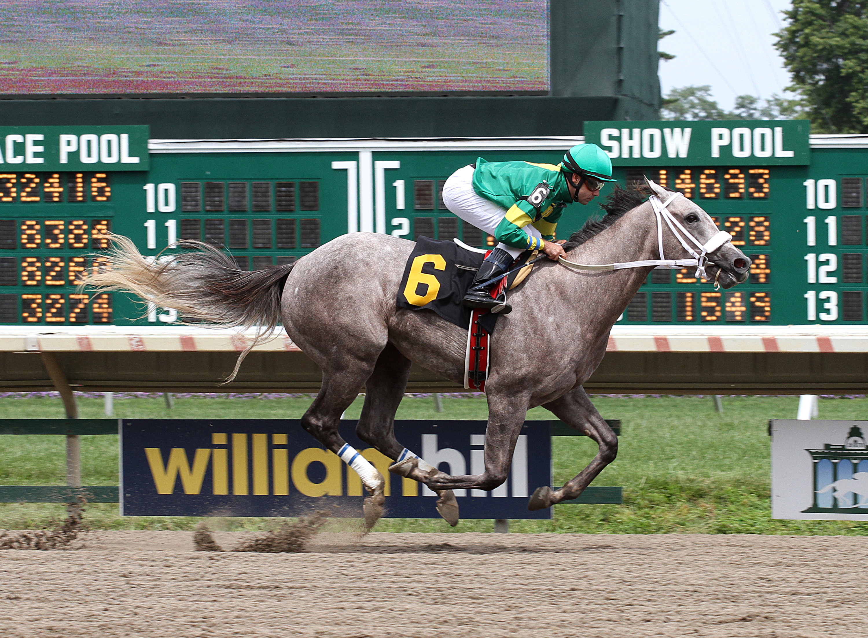 Stonetastic, maiden win