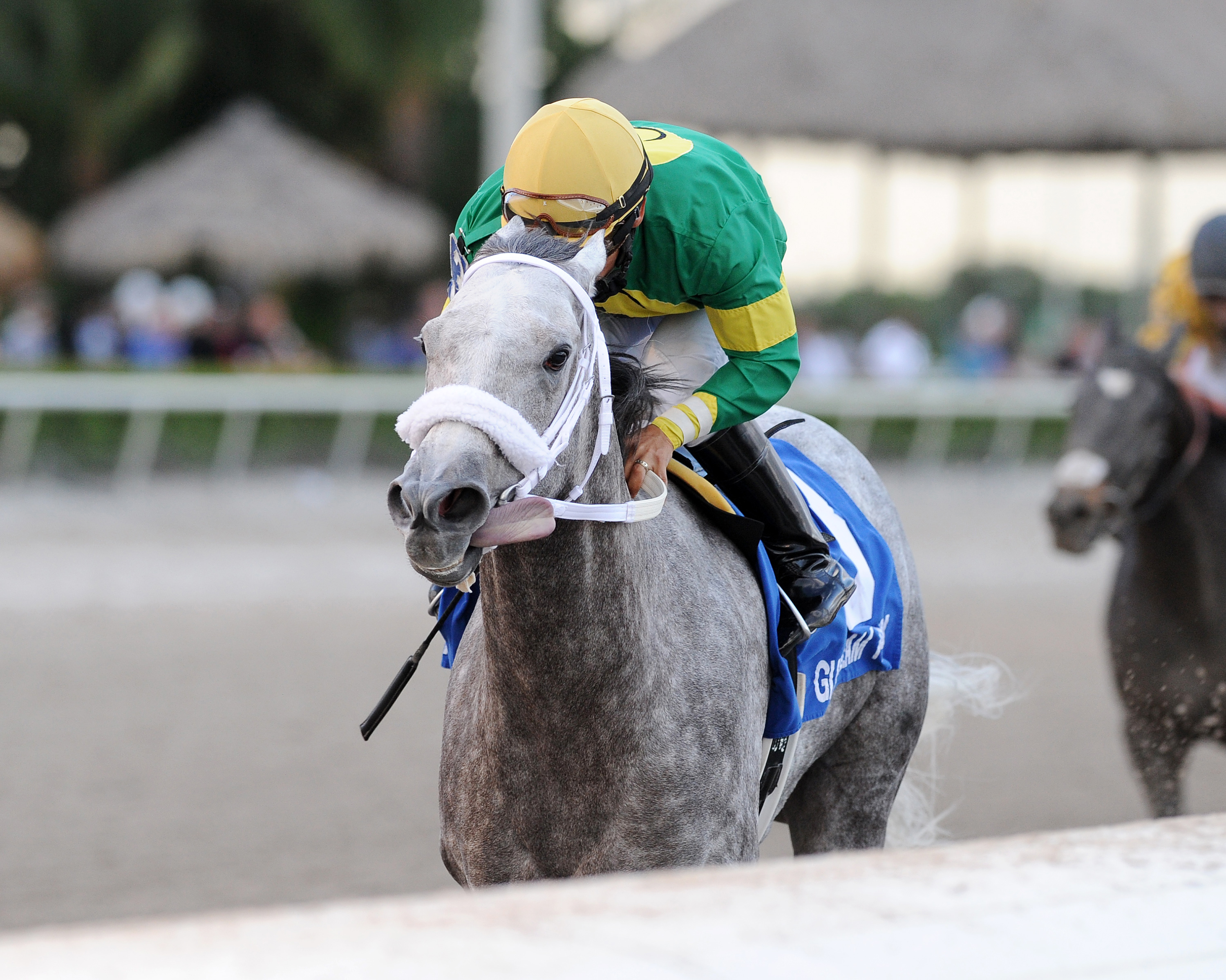 Stonetastic wins the Miami Shores Handicap