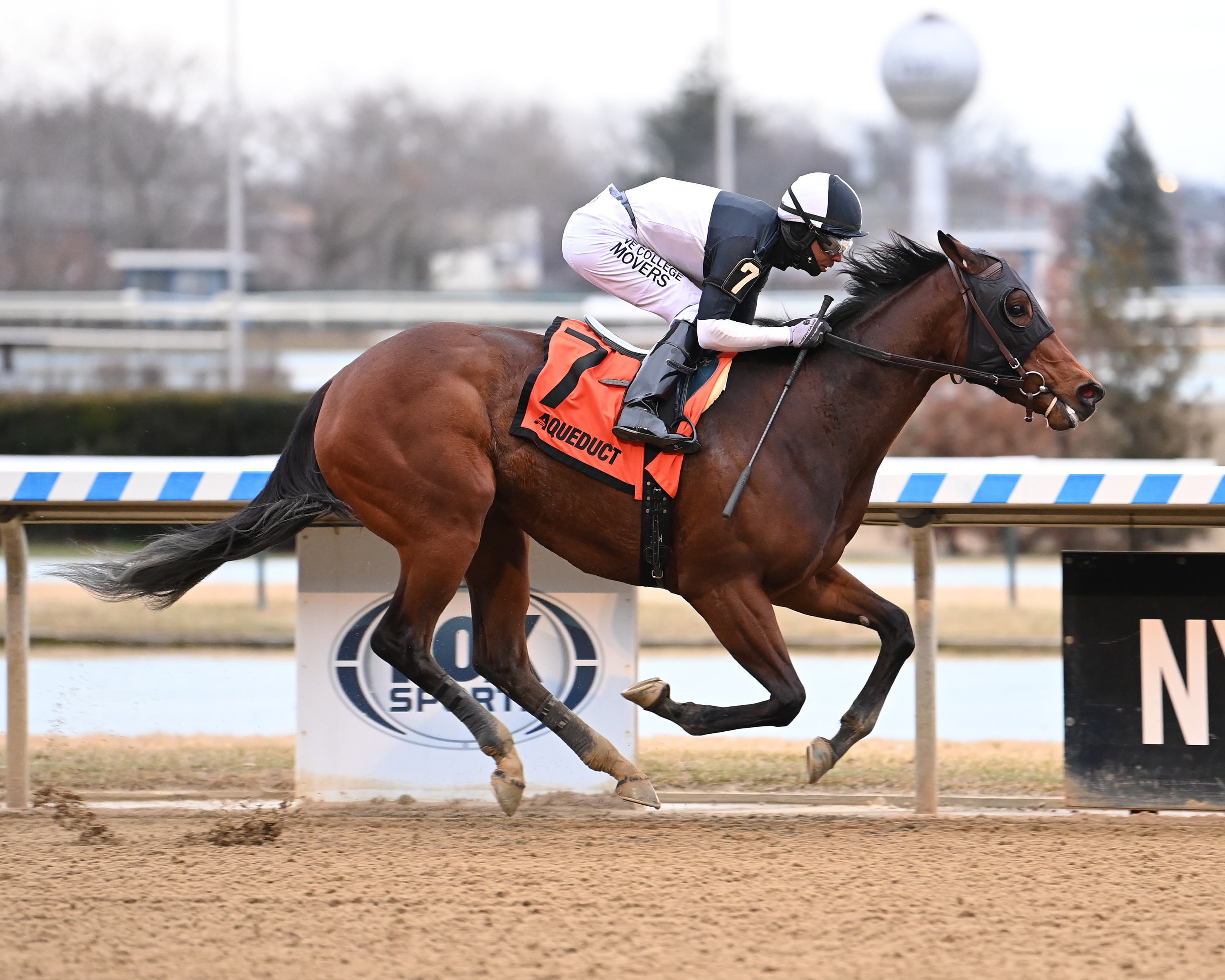 Stonewall Star/Franklin Square