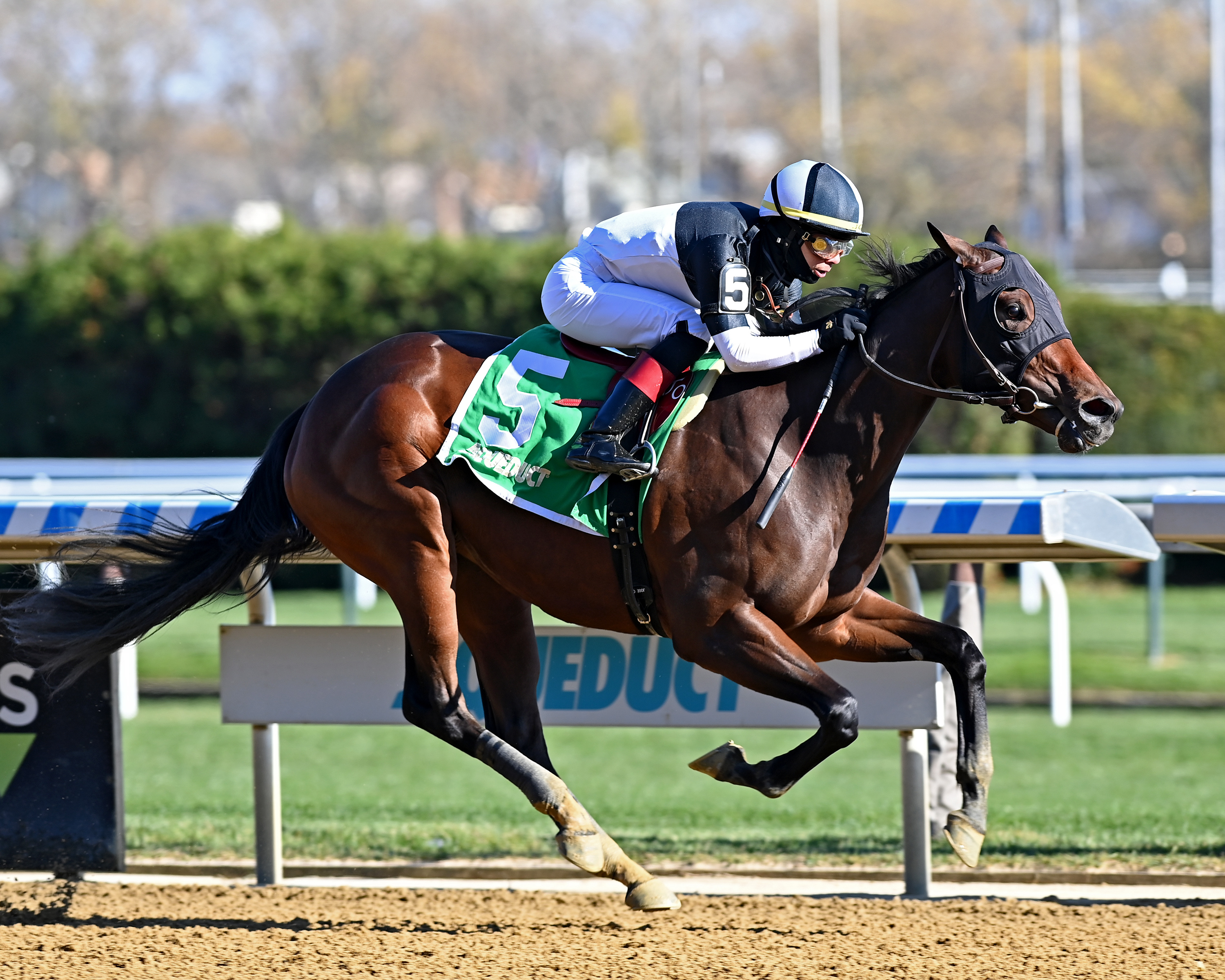 Stonewall Star