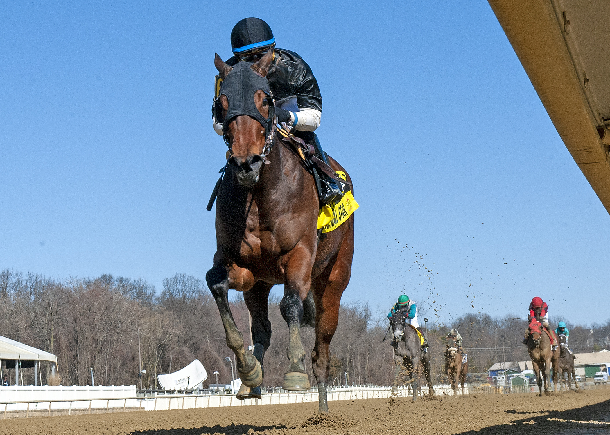 Stonewall Star