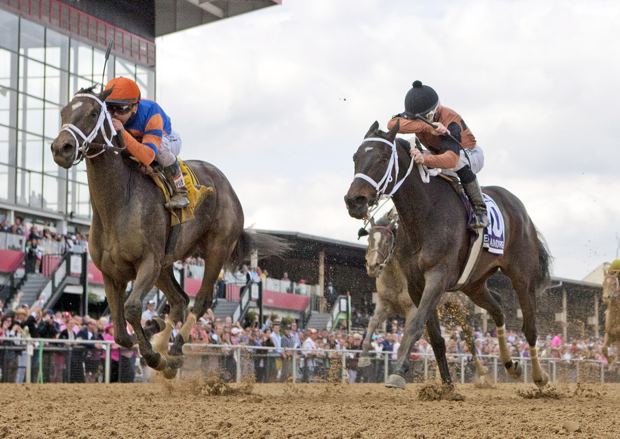 Stopchargingmaria wins the Black-Eyed Susan