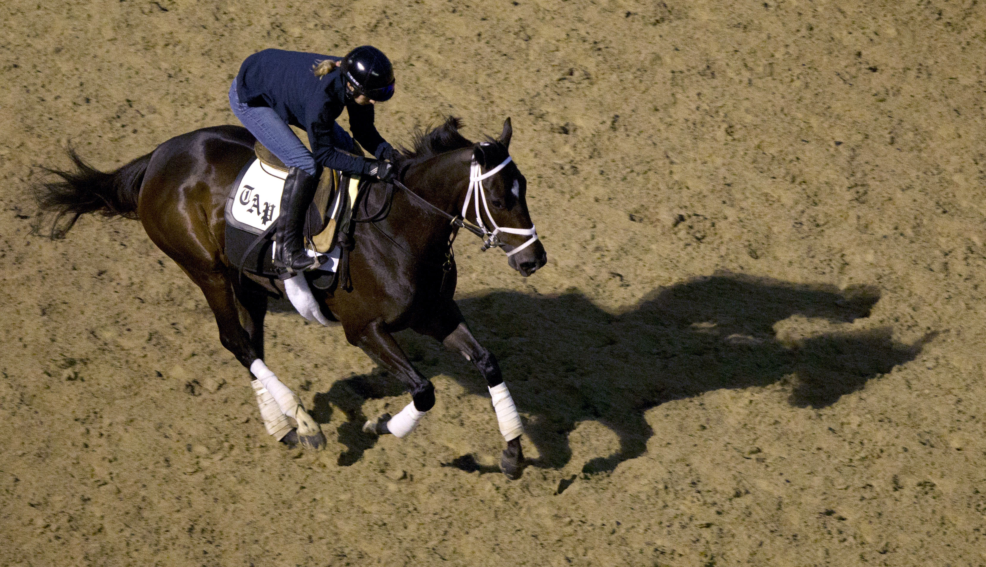 Stopchargingmaria at Churchill on April 22