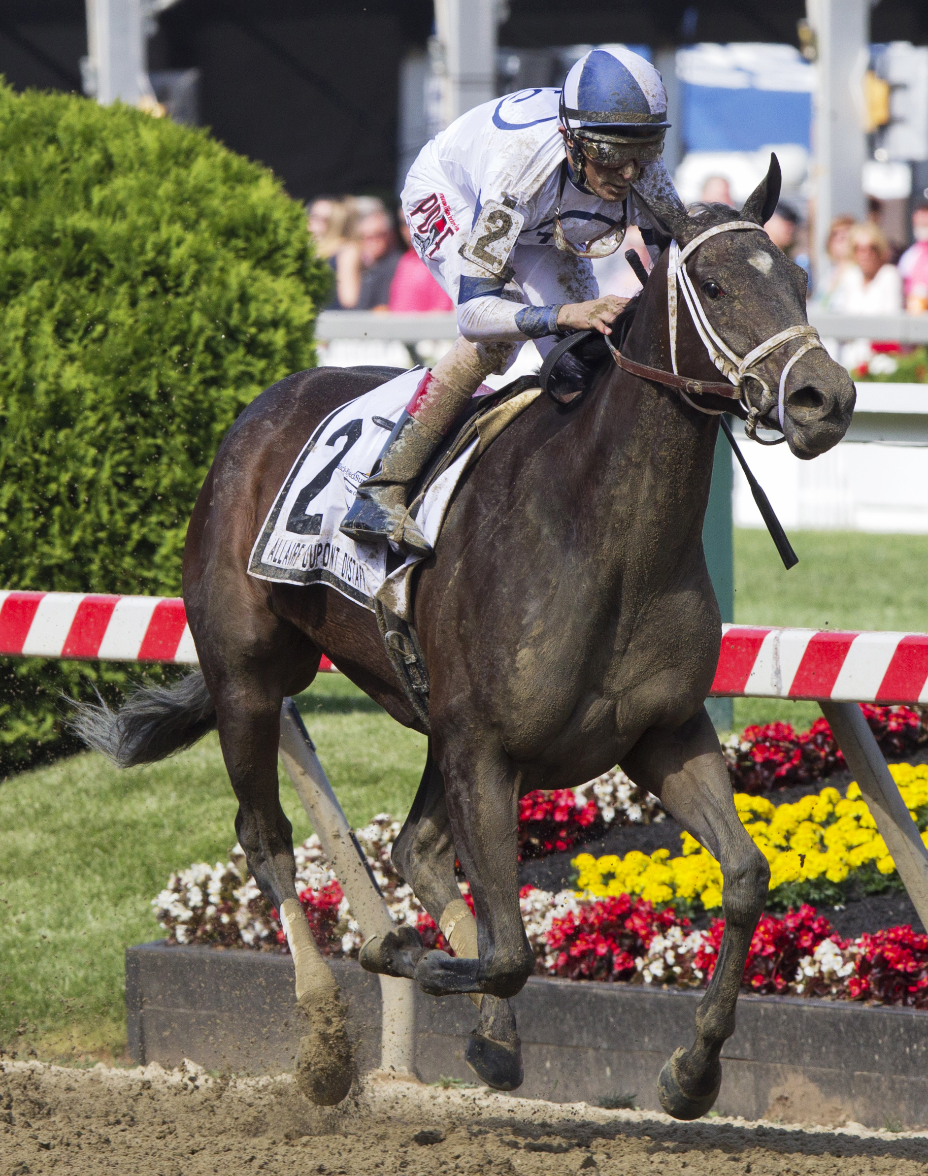 Stopchargingmaria wins the Dupont Distaff