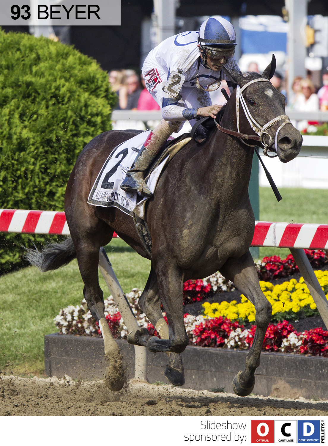 Stopchargingmaria, Allaire duPont Distaff, BEYER