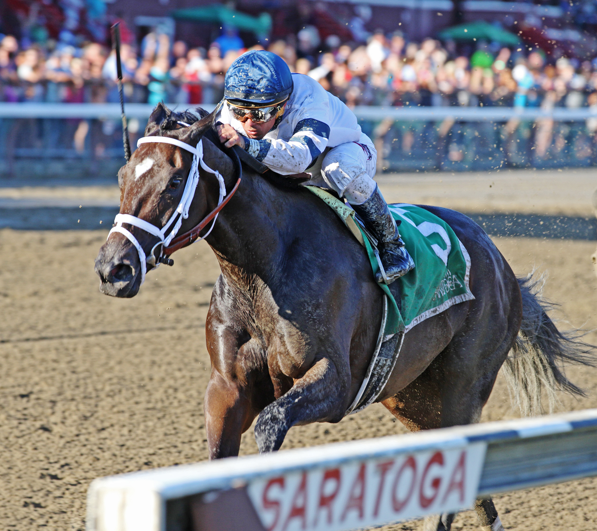 Stopchargingmaria wins the Shuvee