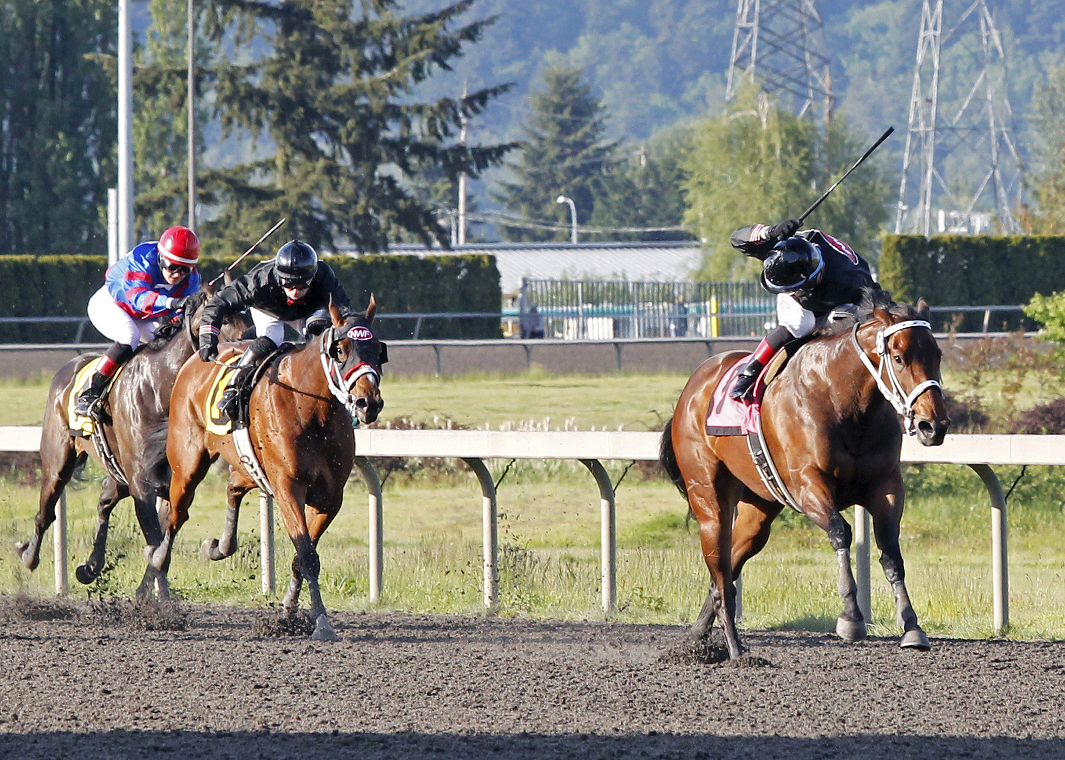 Stopshoppingdebbie wins the Hastings Handicap