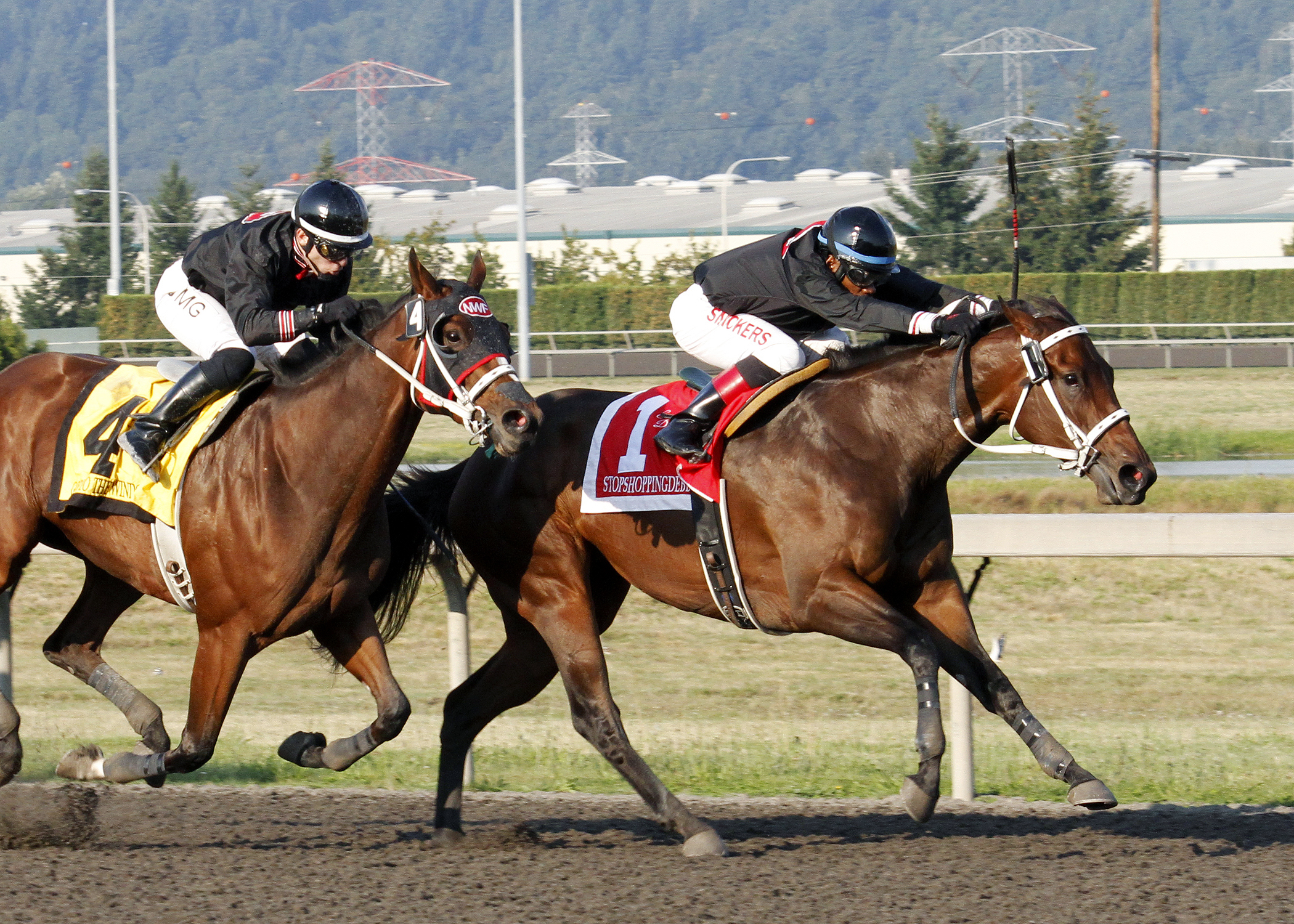 Stopshoppingdebbie wins the Emerald Distaff