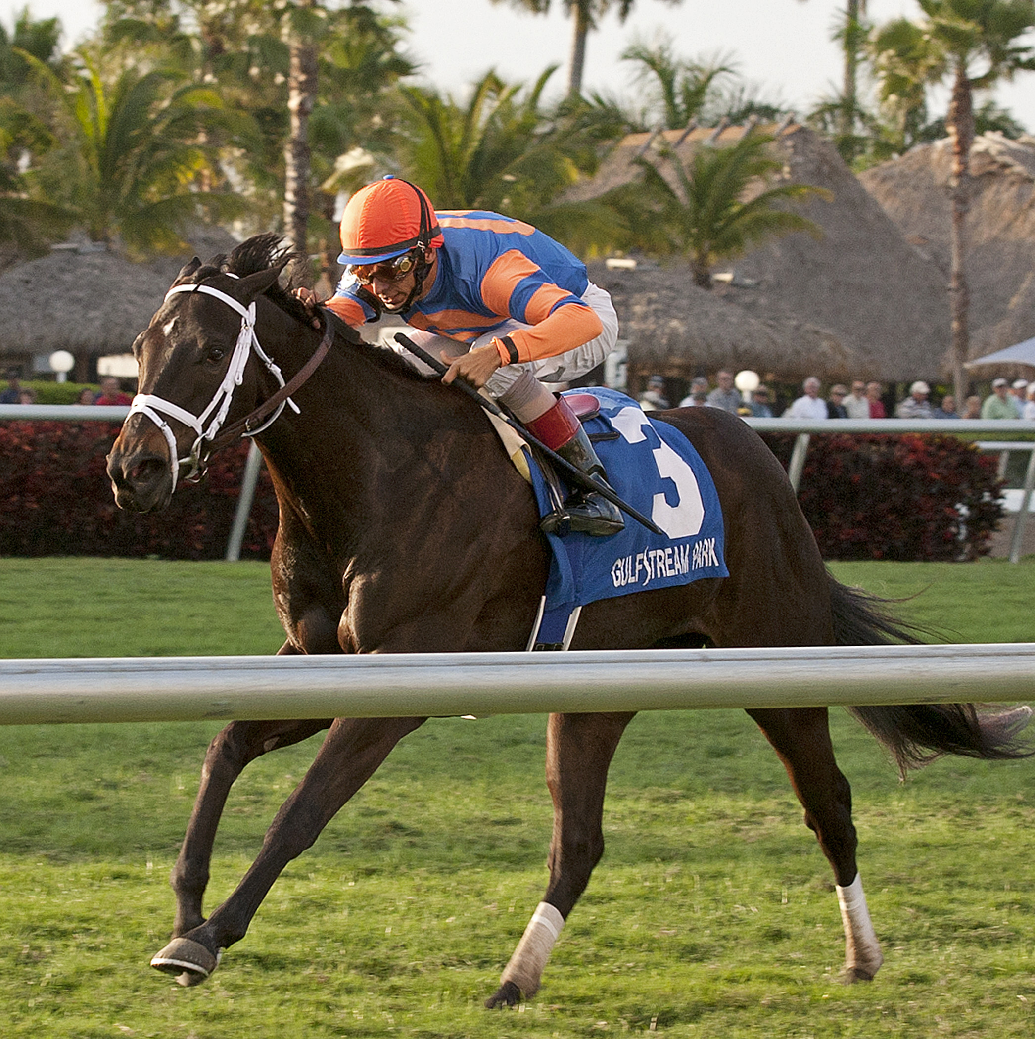 Stopshoppingmaria, Ladies' Turf Sprint Stakes
