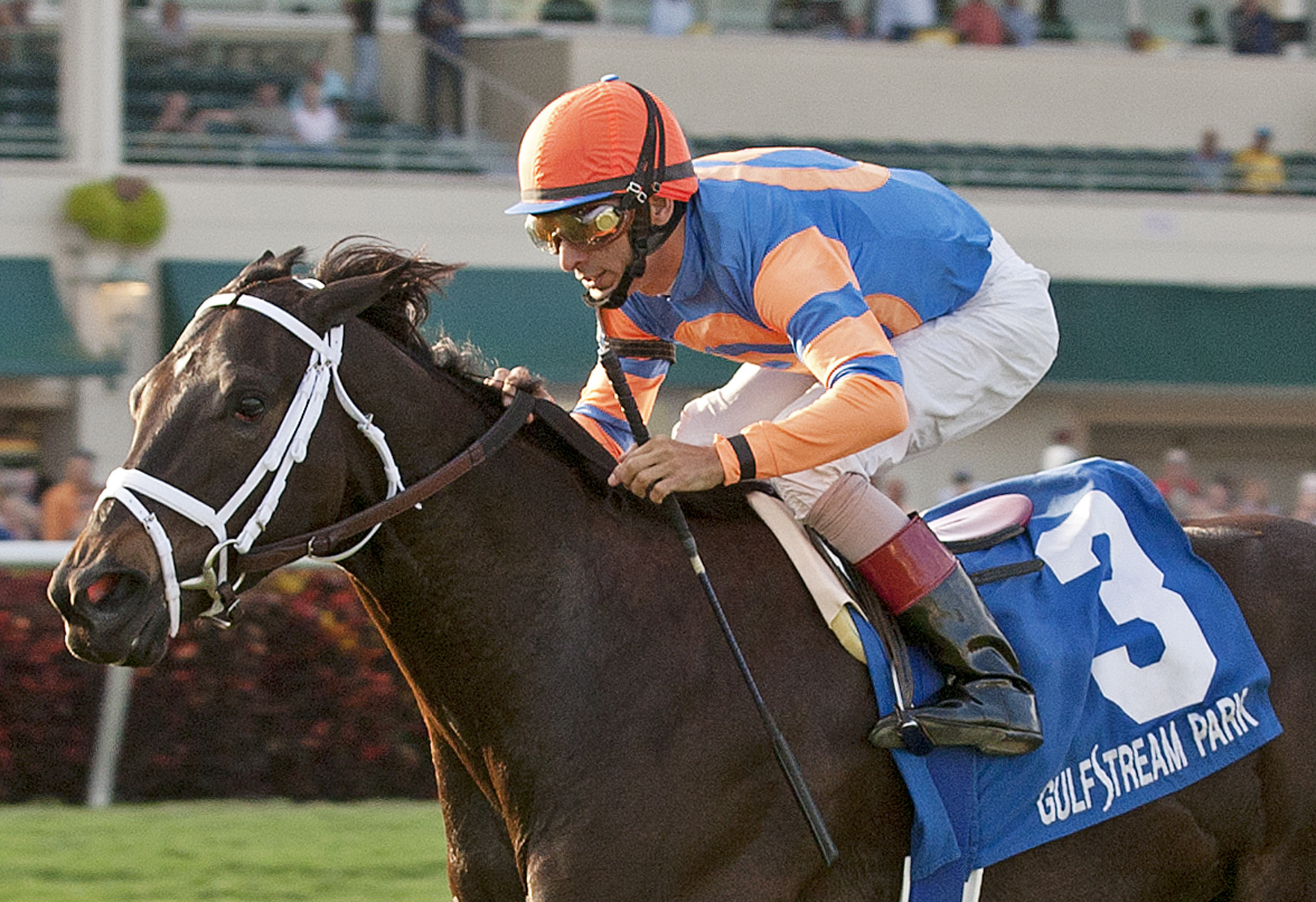 Stopshoppingmaria, Ladies' Turf Sprint Stakes