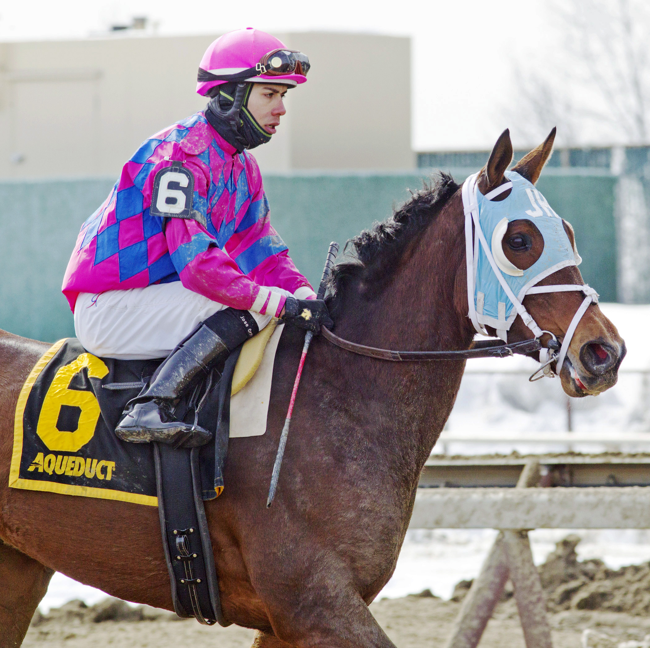 Storied Lady after finishing third in the Cat Cay Stakes