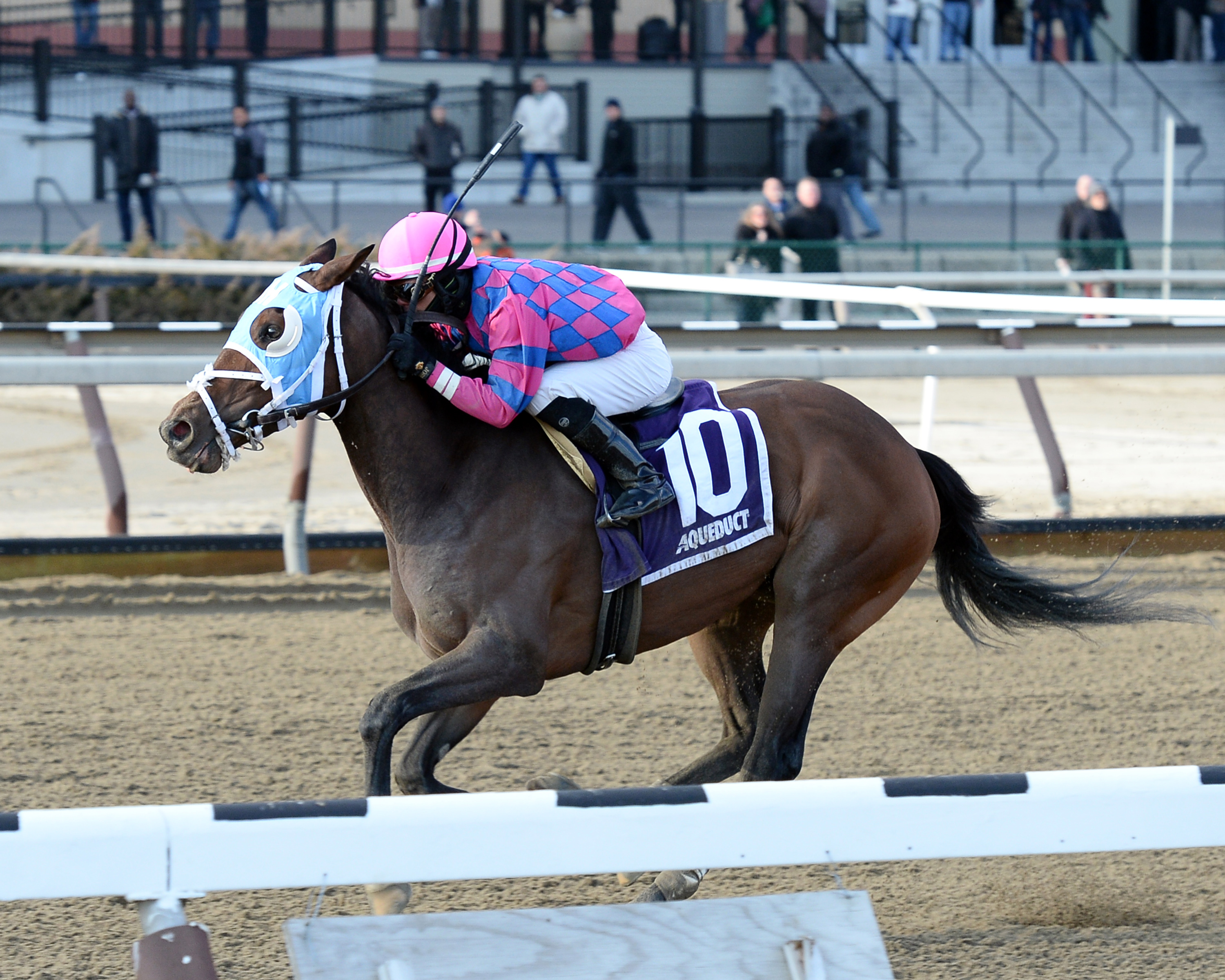 Storied Lady wins the Bay Ridge