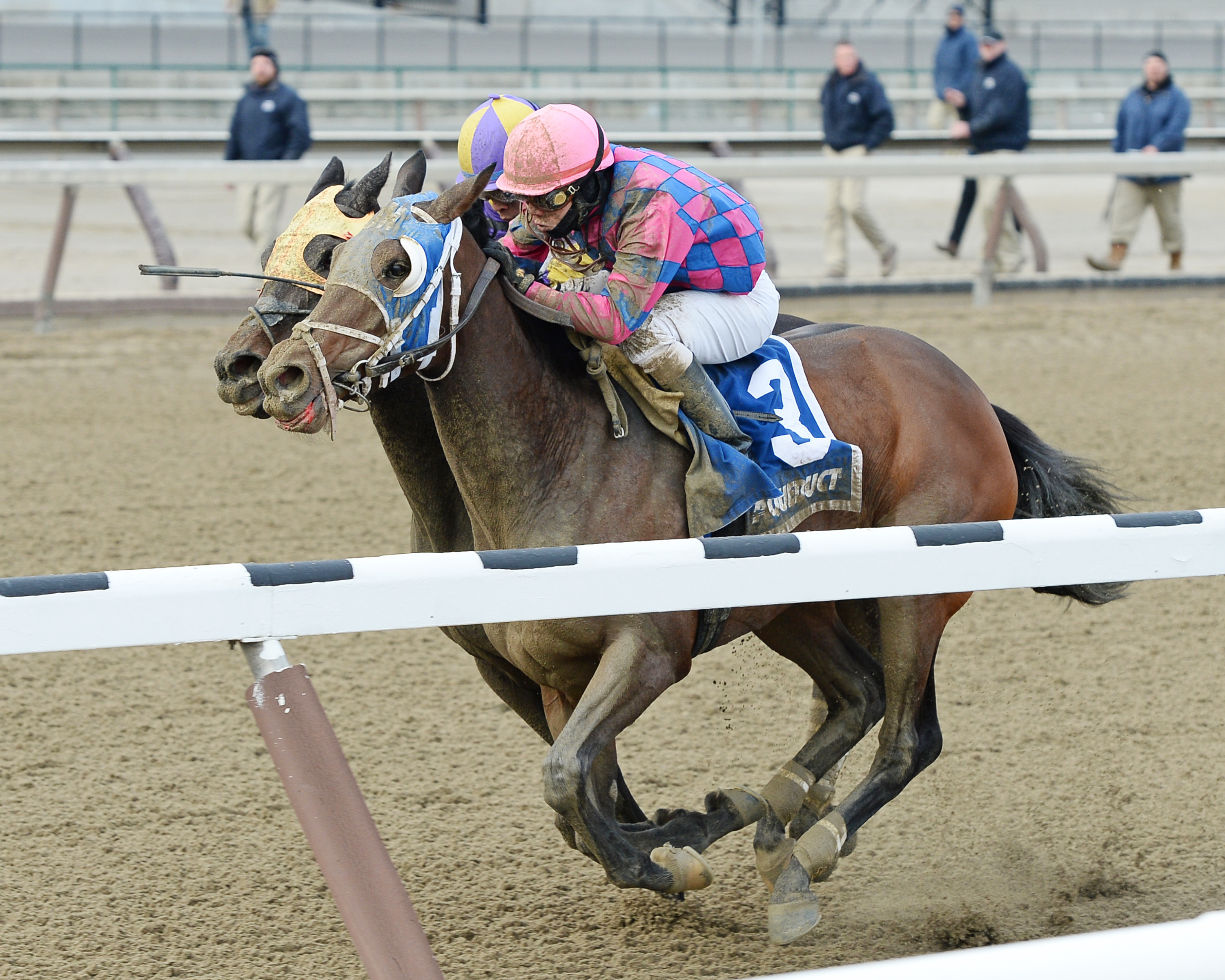 Storied Lady wins the Biogio's Rose