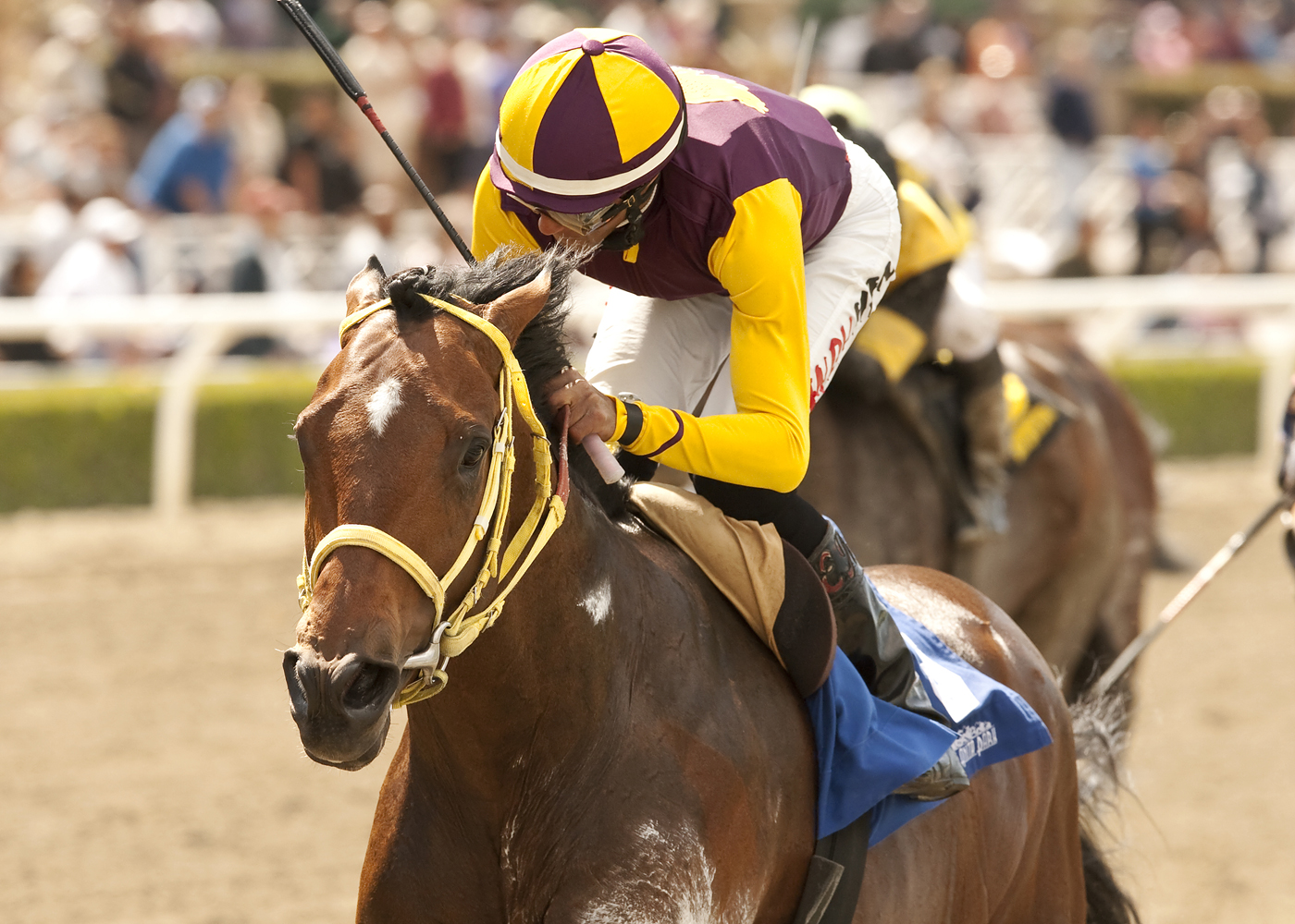 Storm Fighter wins 2014 Tiznow