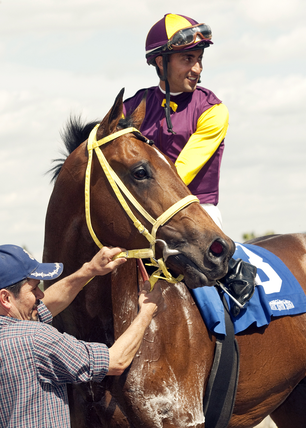 Storm Fighter wins the Tiznow