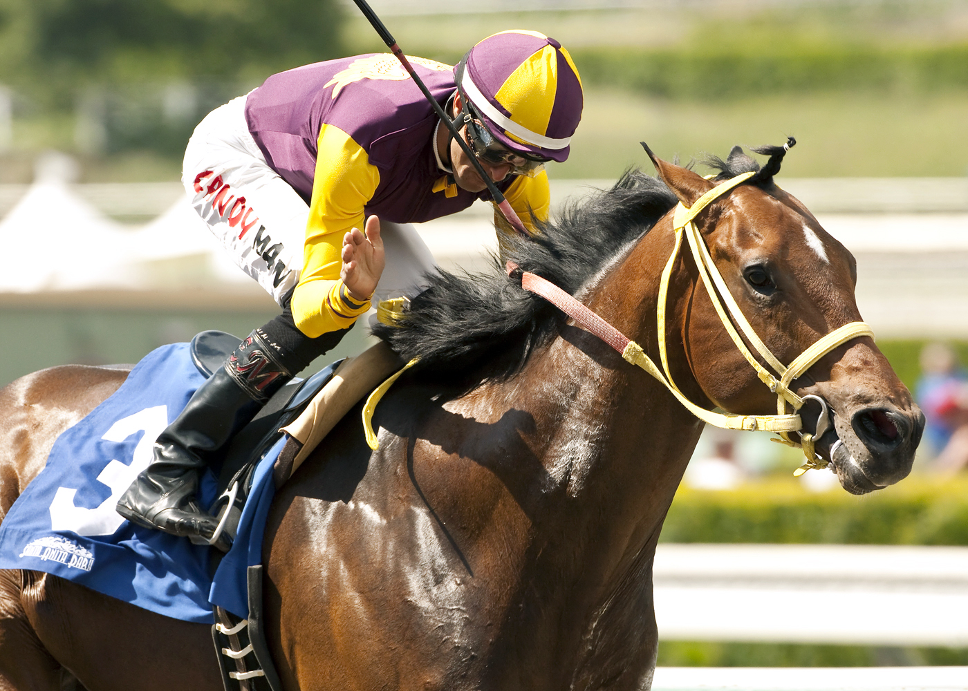 Storm Fighter wins the Tiznow Stakes