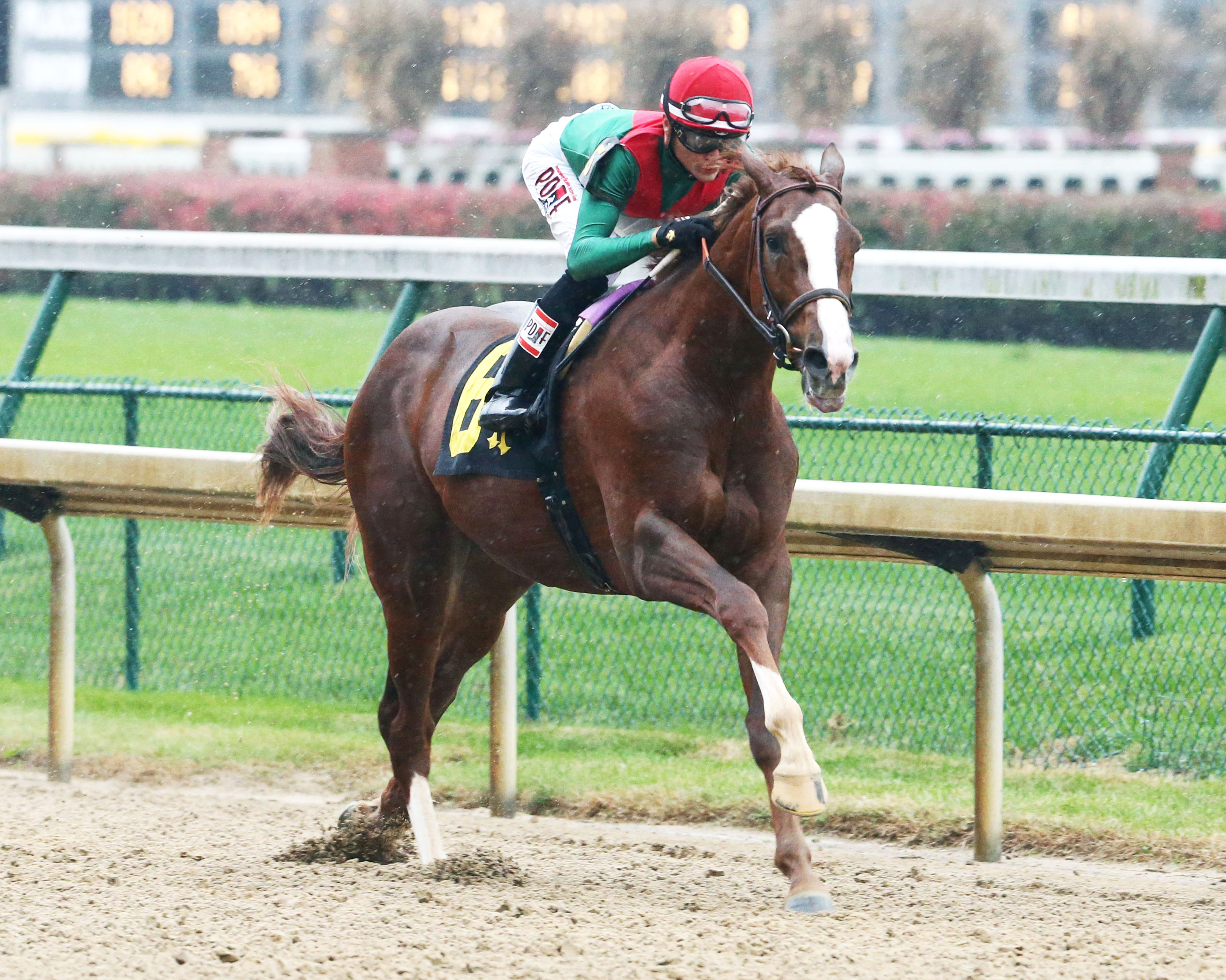 Storm Runner wins a Nov. 12 maiden race